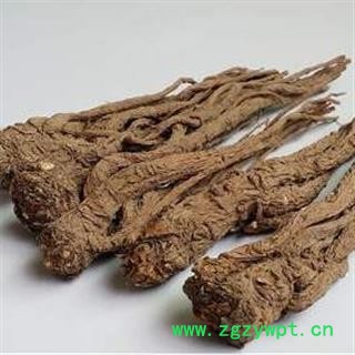 丽丽药业 当归个子精品选货 中药材批发 正品保证7天无理由退货退款图2