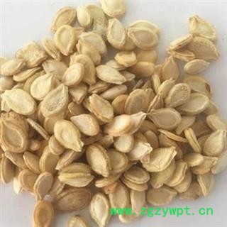 双边冬瓜子选货 新货 颜色好 质量好 价格低 规格齐全 产地 山东省图2