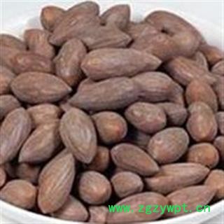 精品榧子选货 质量好 价格低 产地直销   产地 浙江省图2