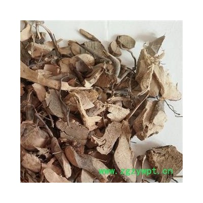 茅梅根 红梅消 三月泡根 小叶 蛇泡筋 拦路蛇 刺菠根