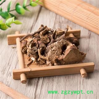 茅梅根 红梅消 三月泡根 小叶 蛇泡筋 拦路蛇 刺菠根图4