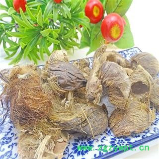 大腹皮 中药材 槟榔 槟榔皮 大腹毛 茯毛图2
