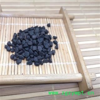 黑丑中药材黑牵牛 牵牛 牵牛子图4