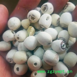 莲子干货去心 农家磨皮无芯白连子米 新鲜银耳莲子百合羹图4