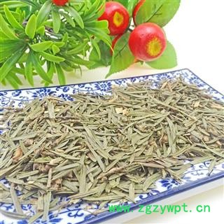 三尖杉 中药材 榧子血榧石榧水柏子藏杉桃松中草药图2