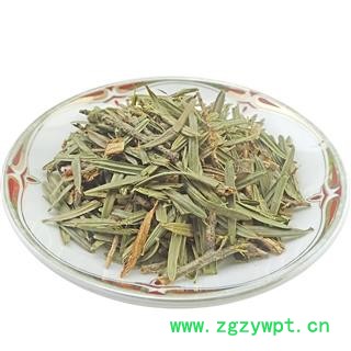 三尖杉 中药材 榧子血榧石榧水柏子藏杉桃松中草药图4