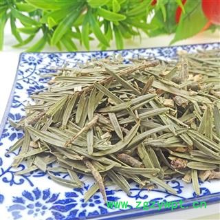 三尖杉 中药材 榧子血榧石榧水柏子藏杉桃松中草药图3