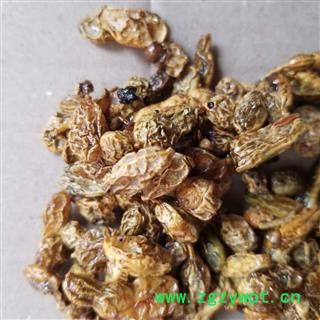 槐角 槐实 槐子 槐豆 槐连  蜜槐角图4