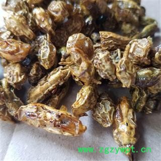 槐角 槐实 槐子 槐豆 槐连  蜜槐角图3