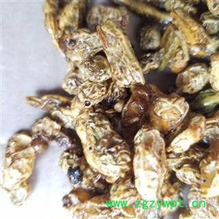 槐角 槐实 槐子 槐豆 槐连  蜜槐角图2