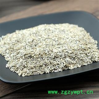 九盛堂 生菜籽 生菜子莴苣子白苣胜子白巨胜子图4