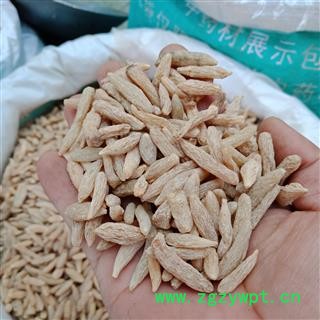 丽丽药业 麦冬 川麦冬 中药材批发 正品保证实图拍照7天无理由退货退款图3