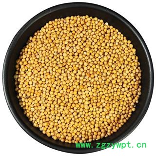 白芥子 白介子 中药材 白芥籽图4