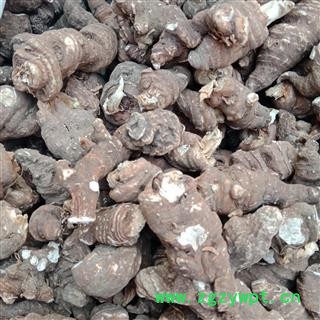 重楼个子 云南重楼个子统货正品保证质量7天无理由退货退款 中药材批发 丽丽药业图2