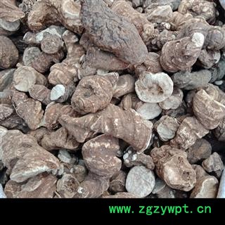 重楼个子 云南重楼个子统货正品保证质量7天无理由退货退款 中药材批发 丽丽药业图3