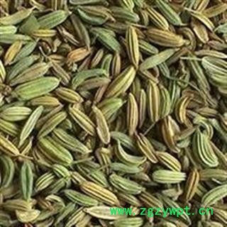 小茴香 小茴香净货 产地 广西壮族自治区图2
