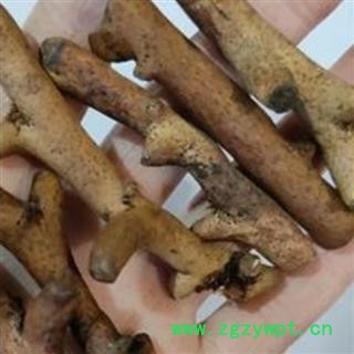 炒骨碎补 正品保证质量7天无理由退货退款 华安堂图3