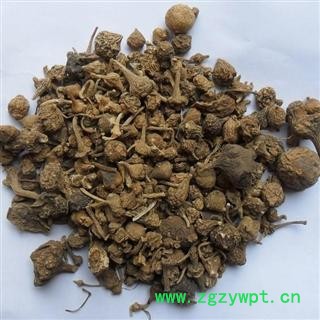 珠子参 扣子七 珠儿参 正品保证质量7天无理由退货退款 安品堂图4