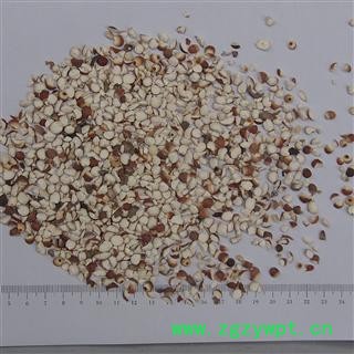 芡实 芡实碎米 产地 广东省图2