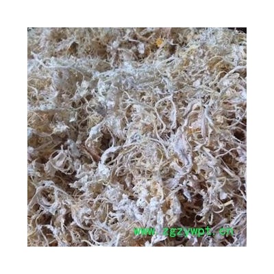 橘络 橘络统货 产地 浙江省