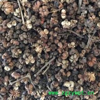 吴茱萸 吴茱萸大花选货 质量好 价格低 产地 江西省图2