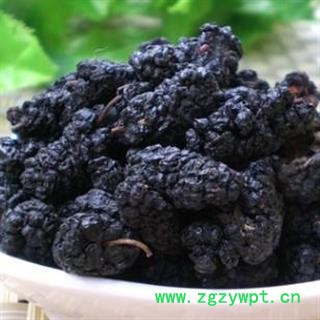 茶用桑椹大选货 桑葚子  质量好 价格低 产地 山东省图2