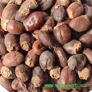 精品荔枝核选货  新货 质量好 价格低 规格齐全  产地 广西壮族自治区图2