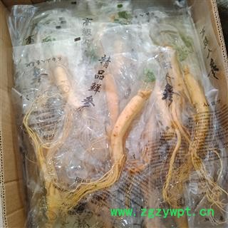 丽丽药业 人参保鲜参大号保鲜参中药材批发 滋补保证实图拍照7天无理由退货退款图3