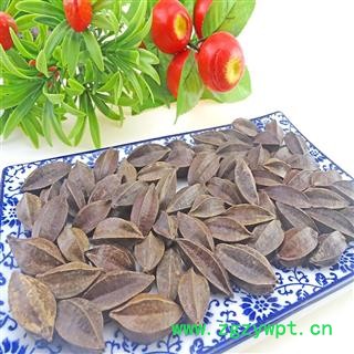 使君子 中药材 留求子 史君子 五棱子 索子果图2