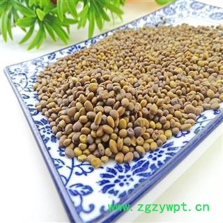 苦豆子 苦马豆 苦豆籽 羊尿泡 马皮泡图3