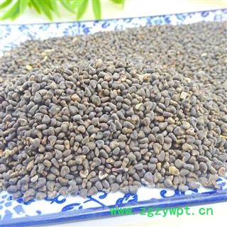 冬葵子 中药材 冬葵实冬葵籽 葵菜子茼麻子东葵子图3