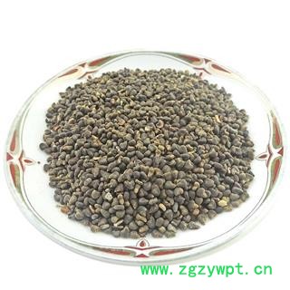 冬葵子 中药材 冬葵实冬葵籽 葵菜子茼麻子东葵子图4