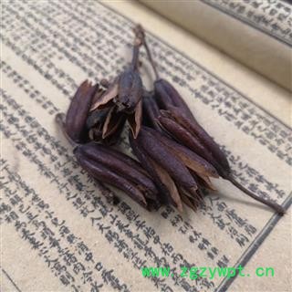 八厘麻中药材八厘麻 六轴子 优质 土连翘 花果实图4