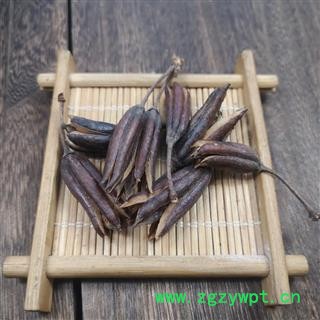 八厘麻中药材八厘麻 六轴子 优质 土连翘 花果实图2