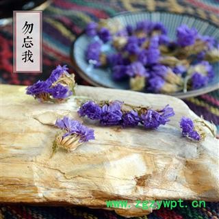 勿忘我 花茶 养生茶 勿忘草 星辰花 匙叶草 花草茶散装图2