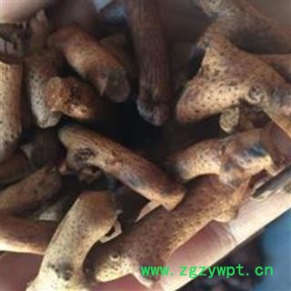 灸骨碎补 正品保证质量7天无理由退货退款 华安堂图3