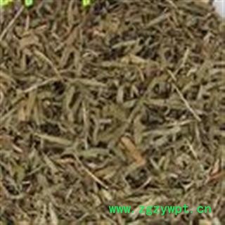 圣草康园 沙棘叶 促销   花草茶图2