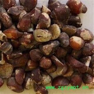 圣草康园中药材大风子 大枫子 大风子仁干净无皮图2