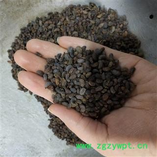 女贞子 女贞子腰果净货 产地 山东省图2