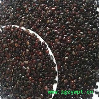 枳椇子 精品选装枳椇子净货 产地 江西省图2