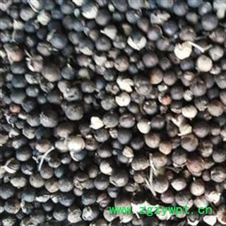 蔓荆子 大选粒 过风车 纯净无杂质 低价促销 无虫蛀无霉变 产地 海外图2