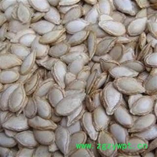 南瓜子选货 颗粒饱满 质量好 价格低  产地 山东省图2