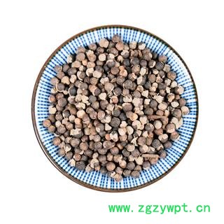 中药材  蔓荆子 蔓菁子图4