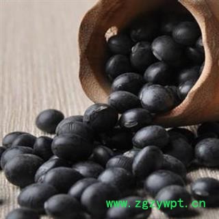 精品黑豆选货 颗粒饱满 质量好 价格低 规格齐全   产地 河南省图2