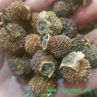 刺梨干果   刺梨茶 泡水泡酒 新鲜刺梨干图4