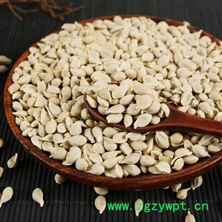 橘核 桔核 橘子籽 橘核粉  桔子仁 橘核图3