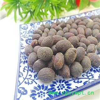 中药材 葵树子 蒲扇子 葵扇子 葵树籽 蒲葵子 蒲扇种子图3