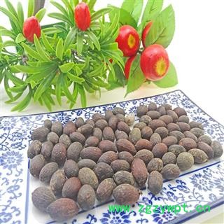 中药材 葵树子 蒲扇子 葵扇子 葵树籽 蒲葵子 蒲扇种子图2