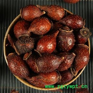 新品中药材金樱子金婴子干品干货泡酒中药材批图2