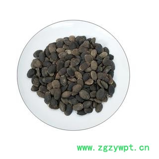 中药材丝瓜子  丝瓜籽 黑丝瓜子 生丝瓜子图4